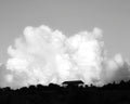Black And White Landscape With Clouds Print