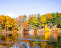 Colorful Foliage Pound Print