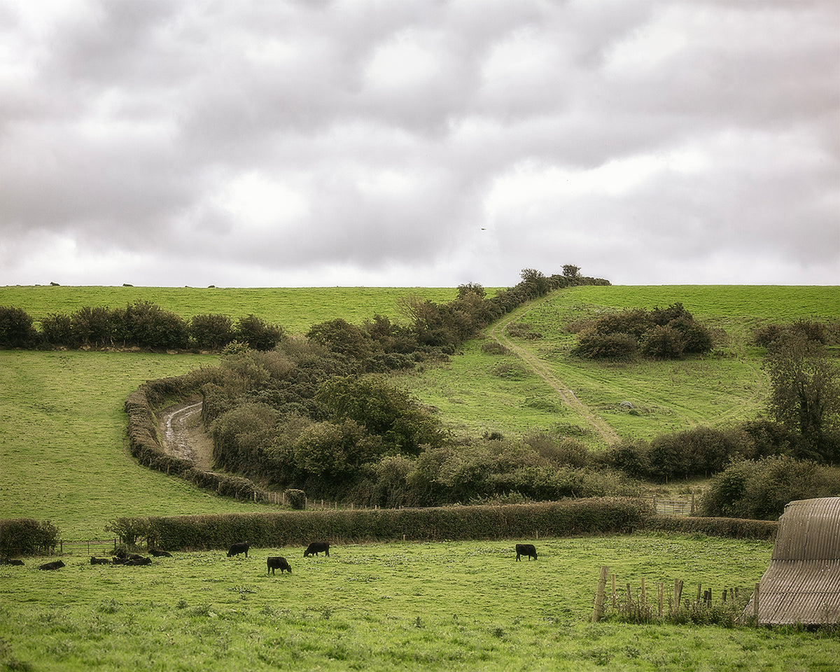 Ireland Landscape Photography