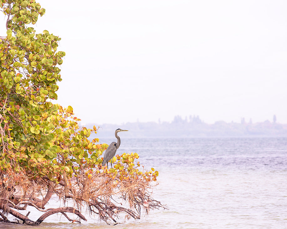 Landscape Print with Crane